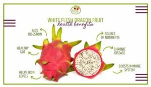 fruits

