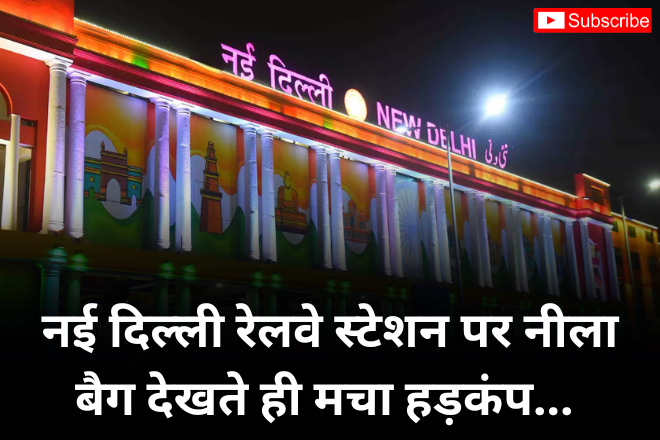 नई दिल्ली रेलवे स्टेशन पर नीला बैग देखते ही मचा हड़कंप